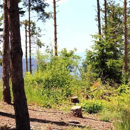 Mansard Underneath The Stars Pripek