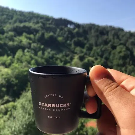 Mansard Underneath The Stars Pripek