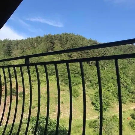 Mansard Underneath The Stars