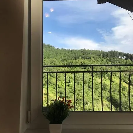 Mansard Underneath The Stars