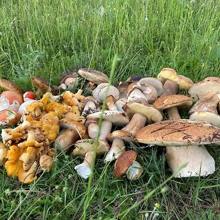 Apartamento Mansard Underneath The Stars