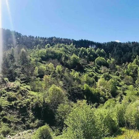 Mansard Underneath The Stars Apartamento