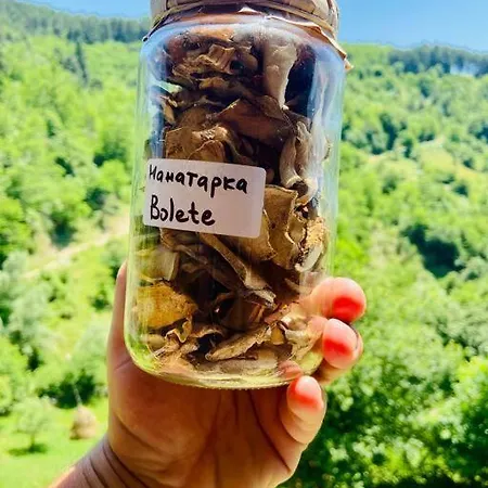 Mansard Underneath The Stars * Pripek