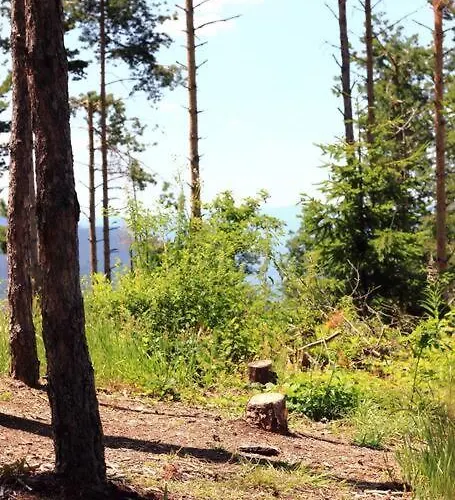 Mansard Underneath The Stars Pripek