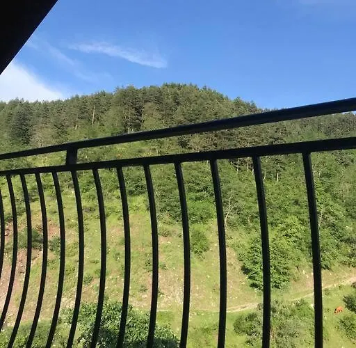 Mansard Underneath The Stars