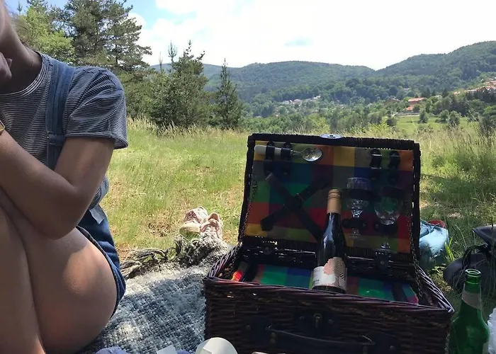 Mansard Underneath The Stars