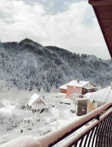 Mansard Underneath The Stars Pripek