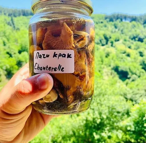 Mansard Underneath The Stars Appartement Pripek