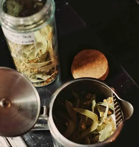 Appartement Mansard Underneath The Stars