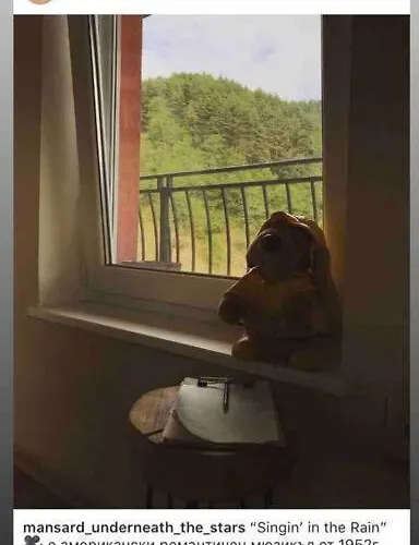 Mansard Underneath The Stars Appartement *