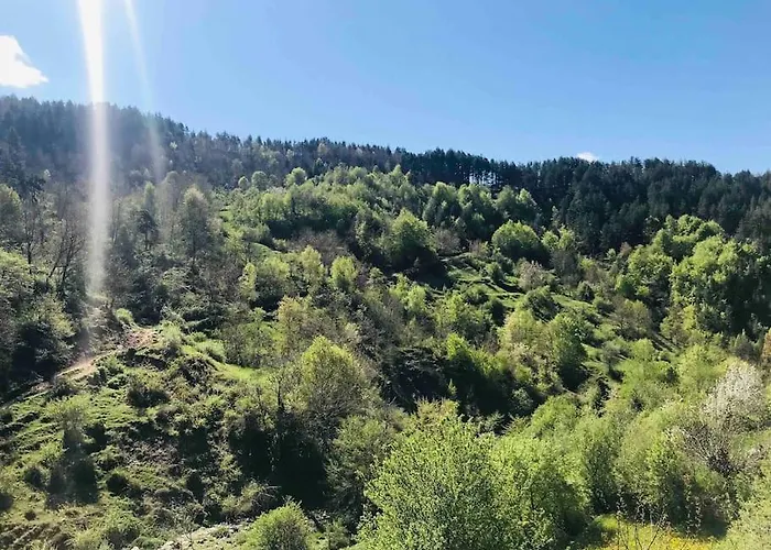 Mansard Underneath The Stars Appartement