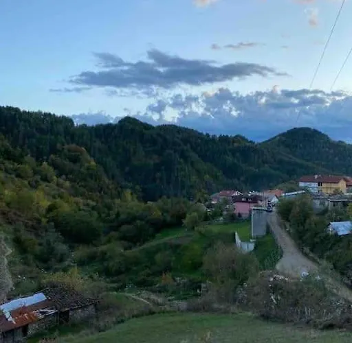 Mansard Underneath The Stars Appartement *