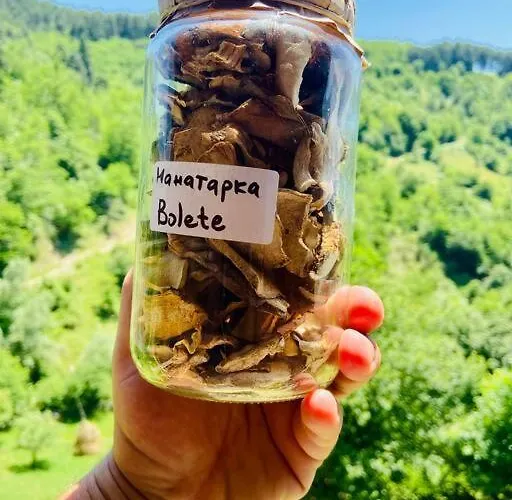 Mansard Underneath The Stars * Pripek